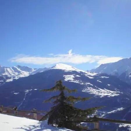 La Tana Dello Scoiattolo * Saint-Pierre